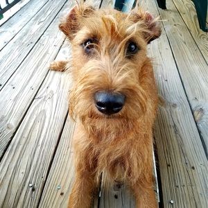 Meet your Posher, Anthony